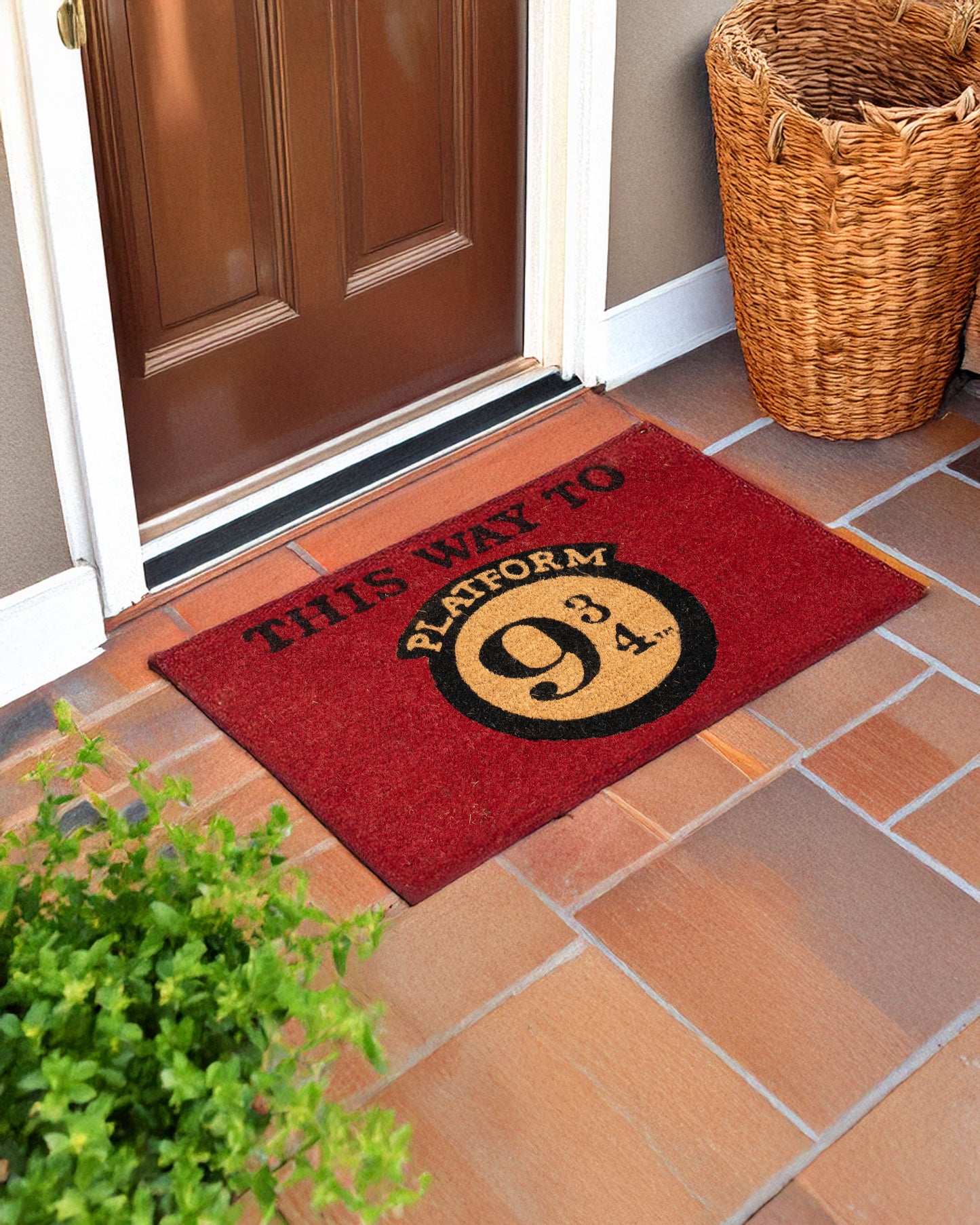 Harry Potter Platform Printed Coir Door Mat